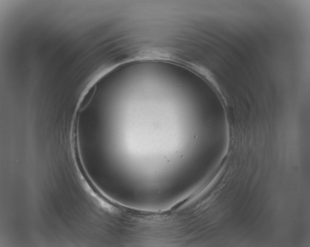 X0000054361387200508051518