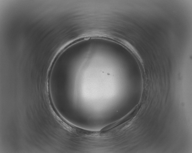 X0000054361388200508051518