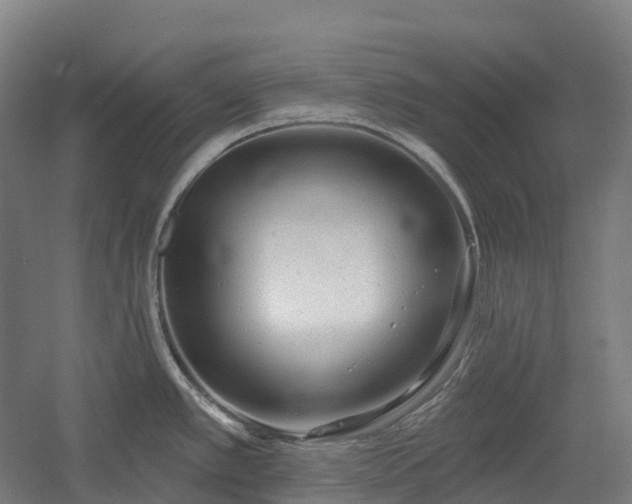 X0000054361389200508051518