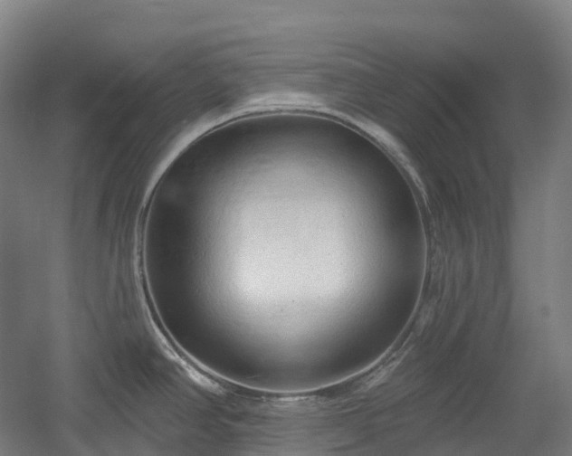 X0000054361390200508051518