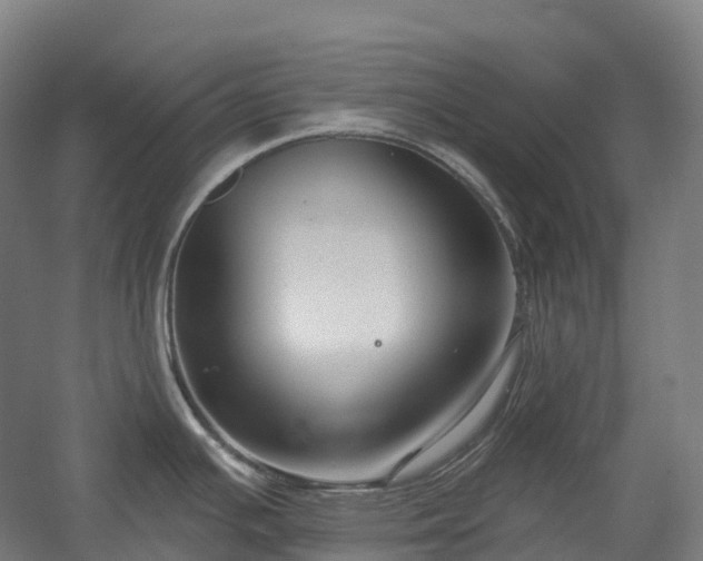 X0000054361391200508051518
