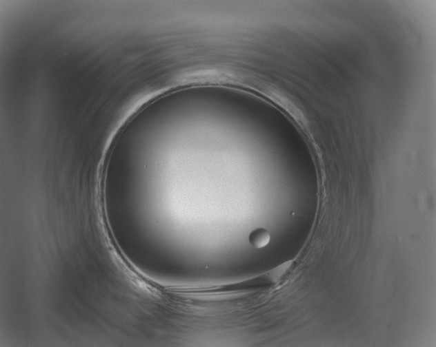 X0000054361392200508051518