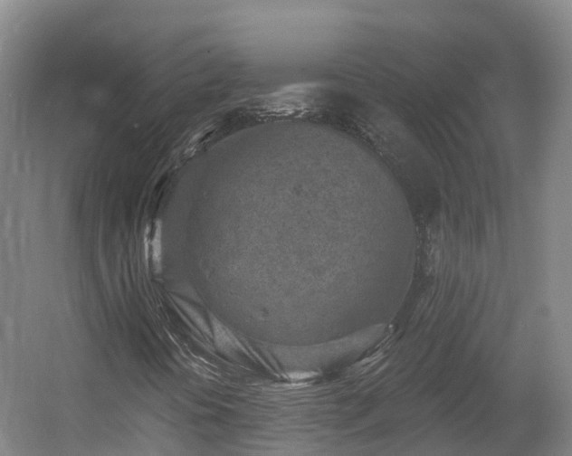 X0000054361394200508051517
