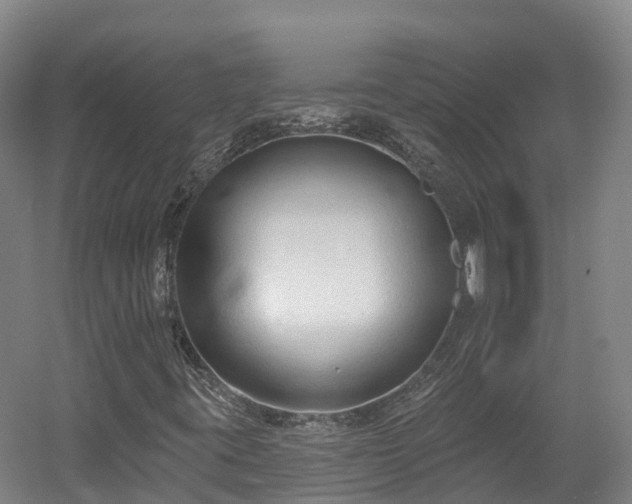 X0000054361395200508051517