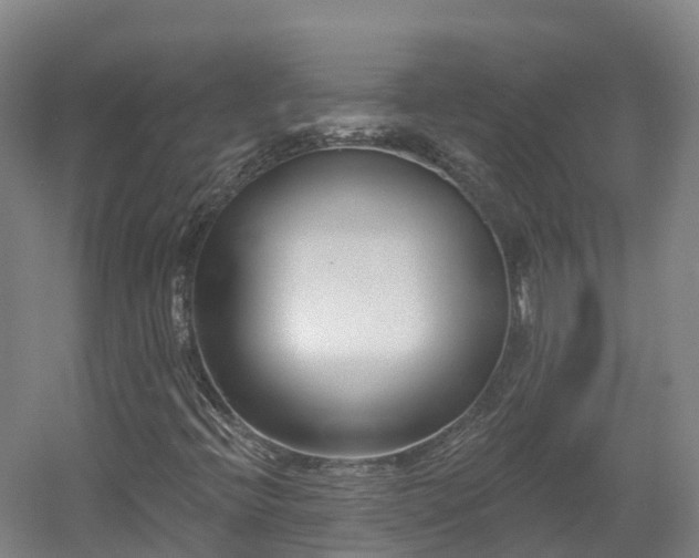 X0000054361396200508051517