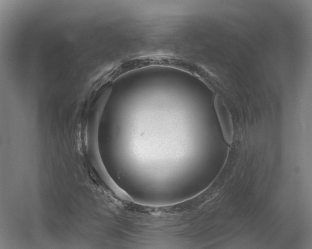 X0000054361398200508051517