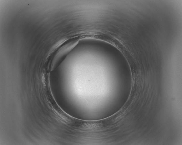X0000054361402200508051517