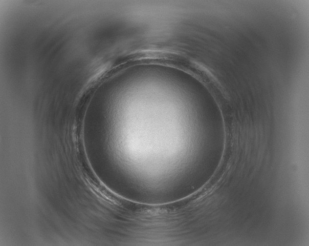 X0000054361403200508051517
