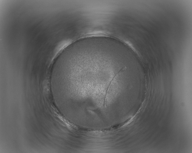 X0000054361405200508051517