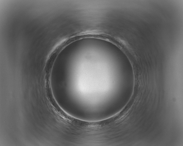 X0000054361406200508051517