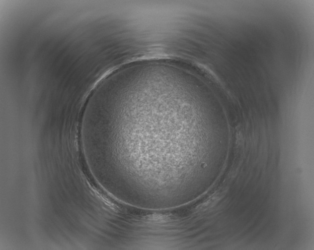 X0000054361409200508051517