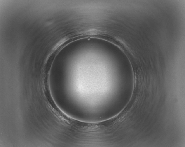 X0000054361410200508051517