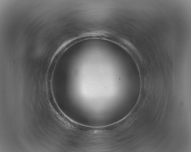 X0000054361412200508051517