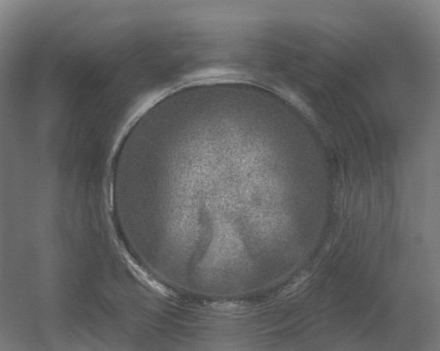 X0000054361413200508051517