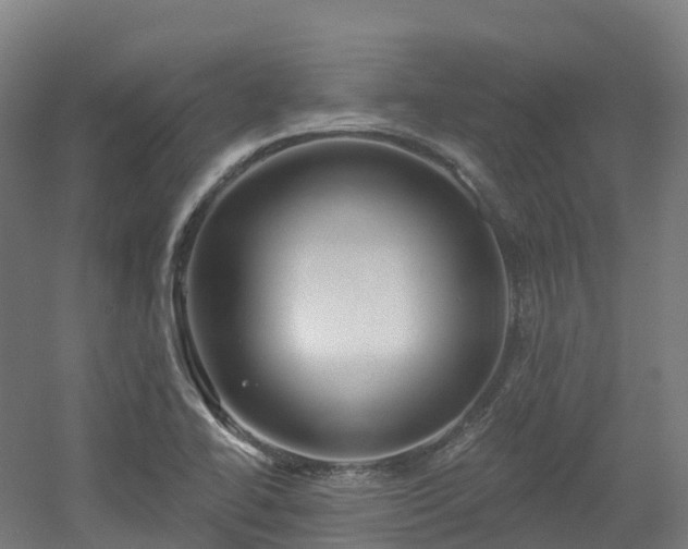 X0000054361414200508051517