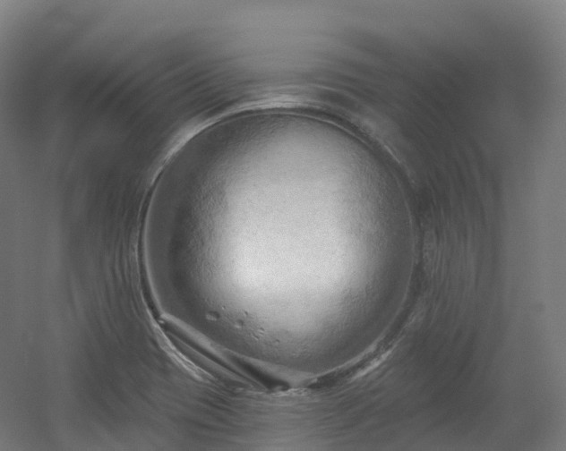 X0000054361417200508051517