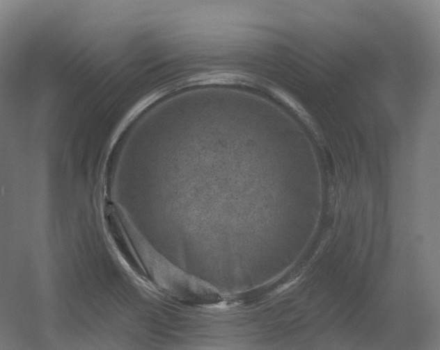 X0000054361418200508051517
