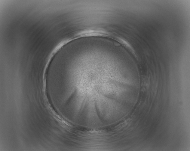 X0000054361419200508051517