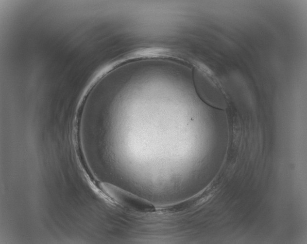 X0000054361421200508051517
