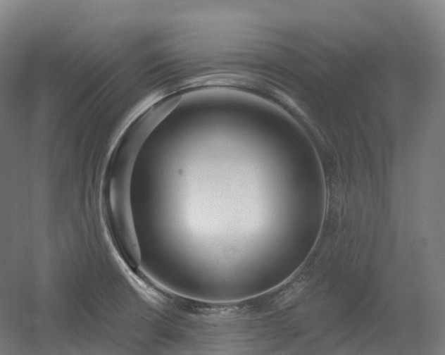 X0000054361426200508051517