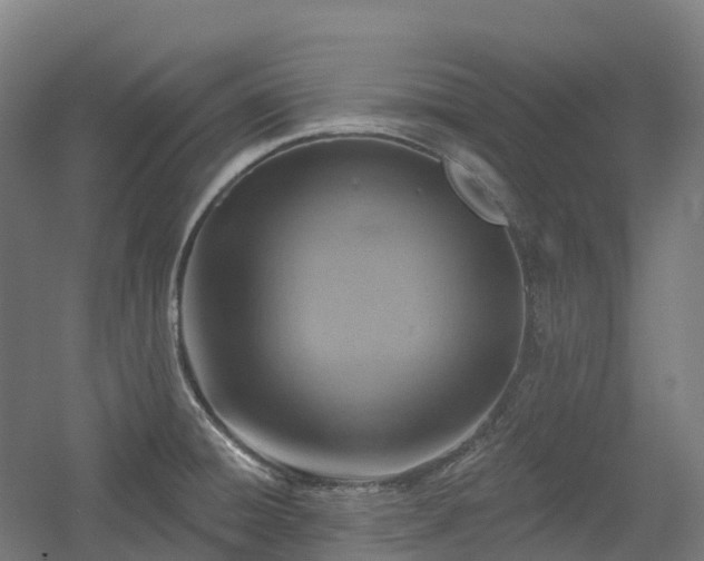 X0000054361428200508051517
