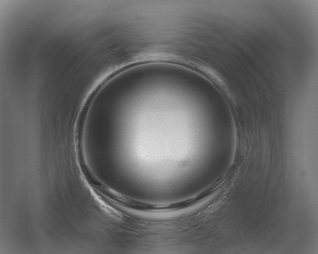 X0000054361430200508051517