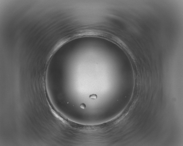 X0000054361433200508051517