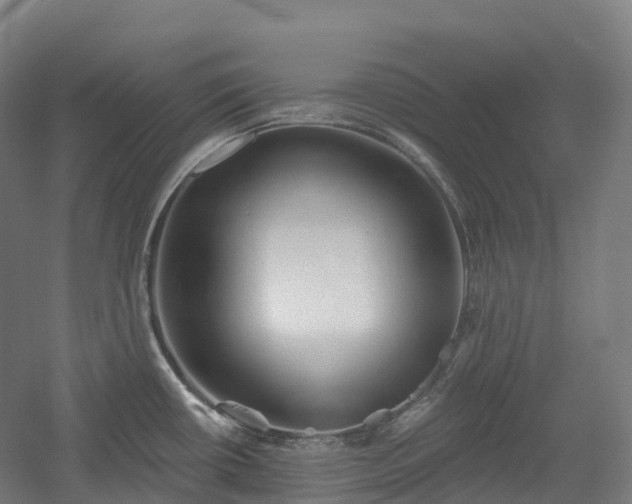 X0000054361434200508051517