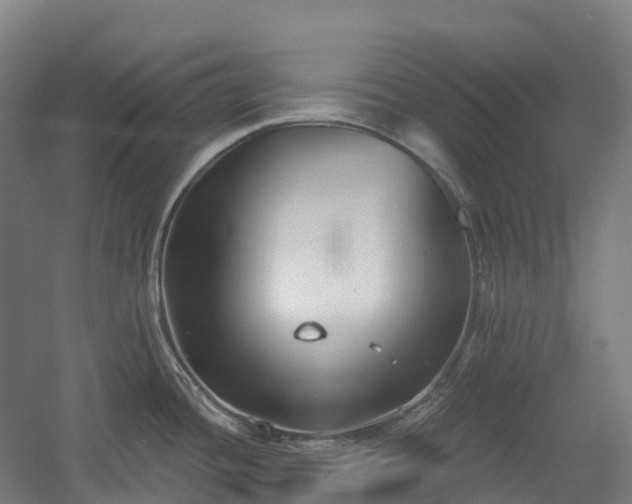 X0000054361436200508051517