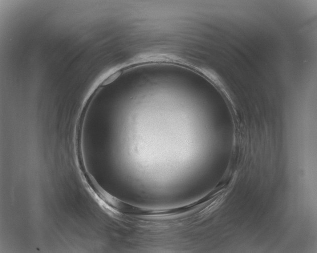 X0000054361438200508051517