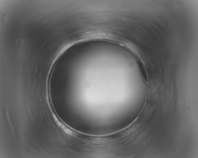 X0000054361439200508051517