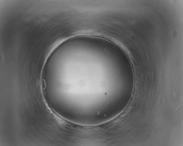 X0000054361440200508051518