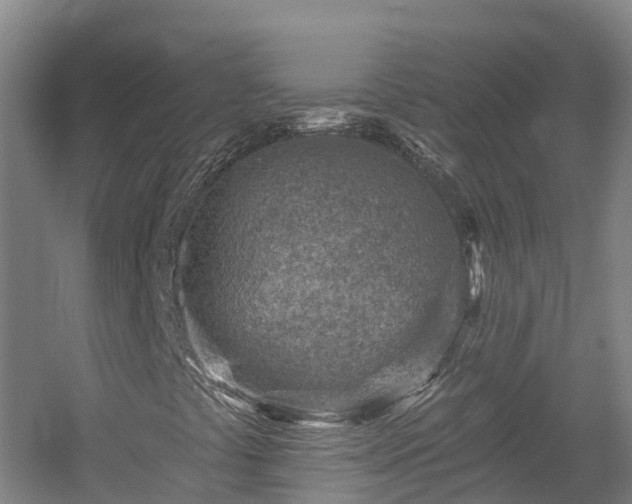 X0000054361441200508051517