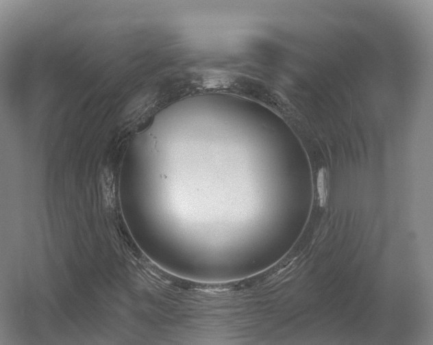 X0000054361443200508051517