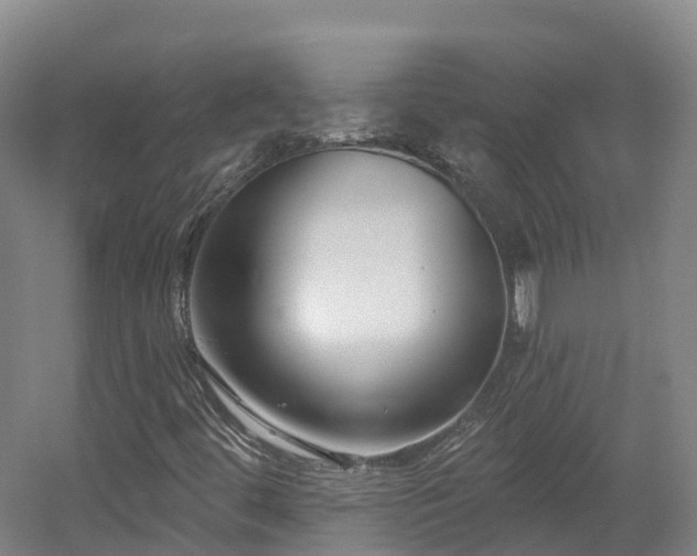X0000054361444200508051517
