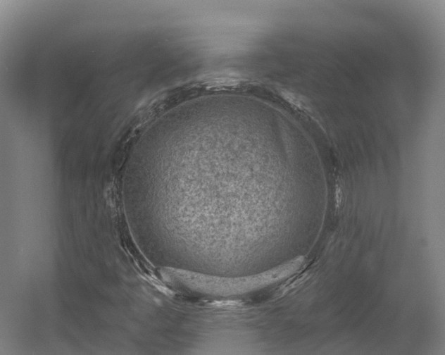 X0000054361445200508051517