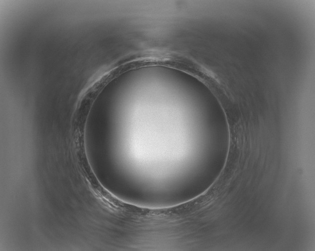 X0000054361448200508051517