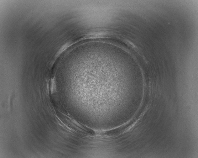 X0000054361449200508051517