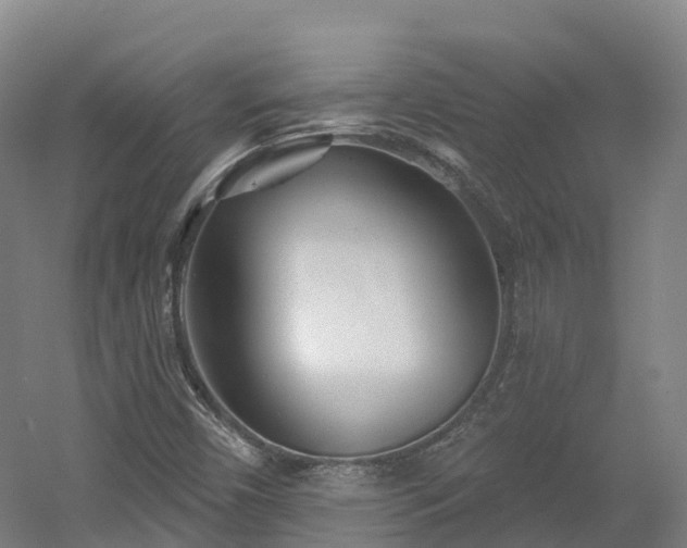 X0000054361450200508051517