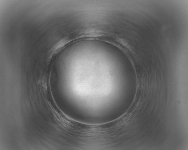 X0000054361451200508051517