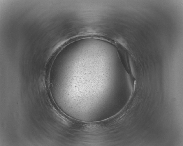 X0000054361452200508051517