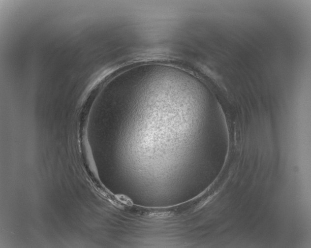 X0000054361453200508051516