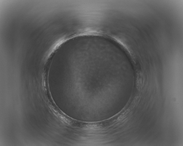 X0000054361455200508051516