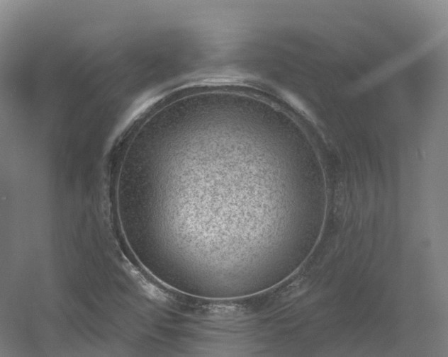 X0000054361456200508051516