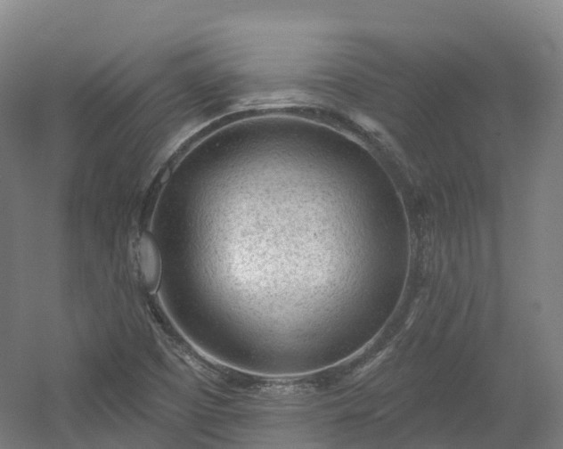 X0000054361457200508051516