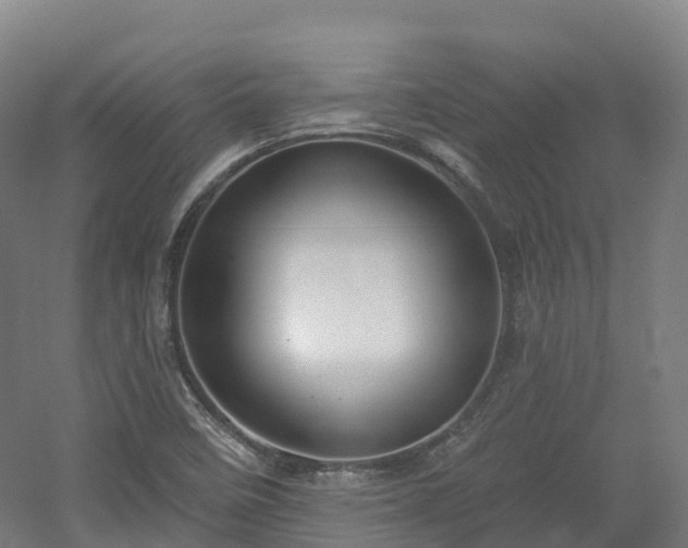 X0000054361458200508051516