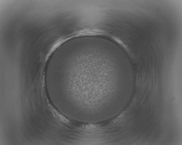 X0000054361459200508051516