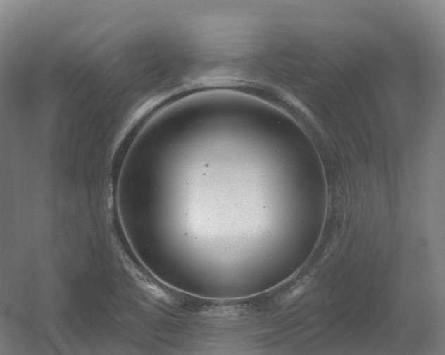 X0000054361461200508051516