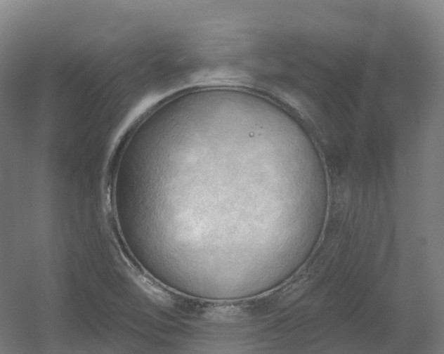 X0000054361462200508051516