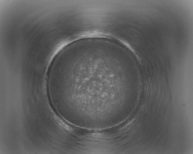 X0000054361463200508051516